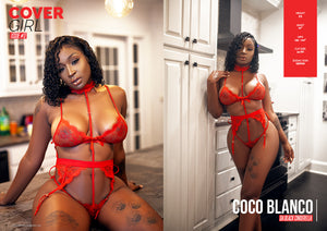 Adult Stars Magazine #ISSUE #3